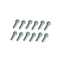 EXTRACTOR HEADER BOLT KIT FITS HOLDEN COMMODORE VT-VF LS1 LS2 LS3 L76 L77 L98 LSA (12 BOLTS)